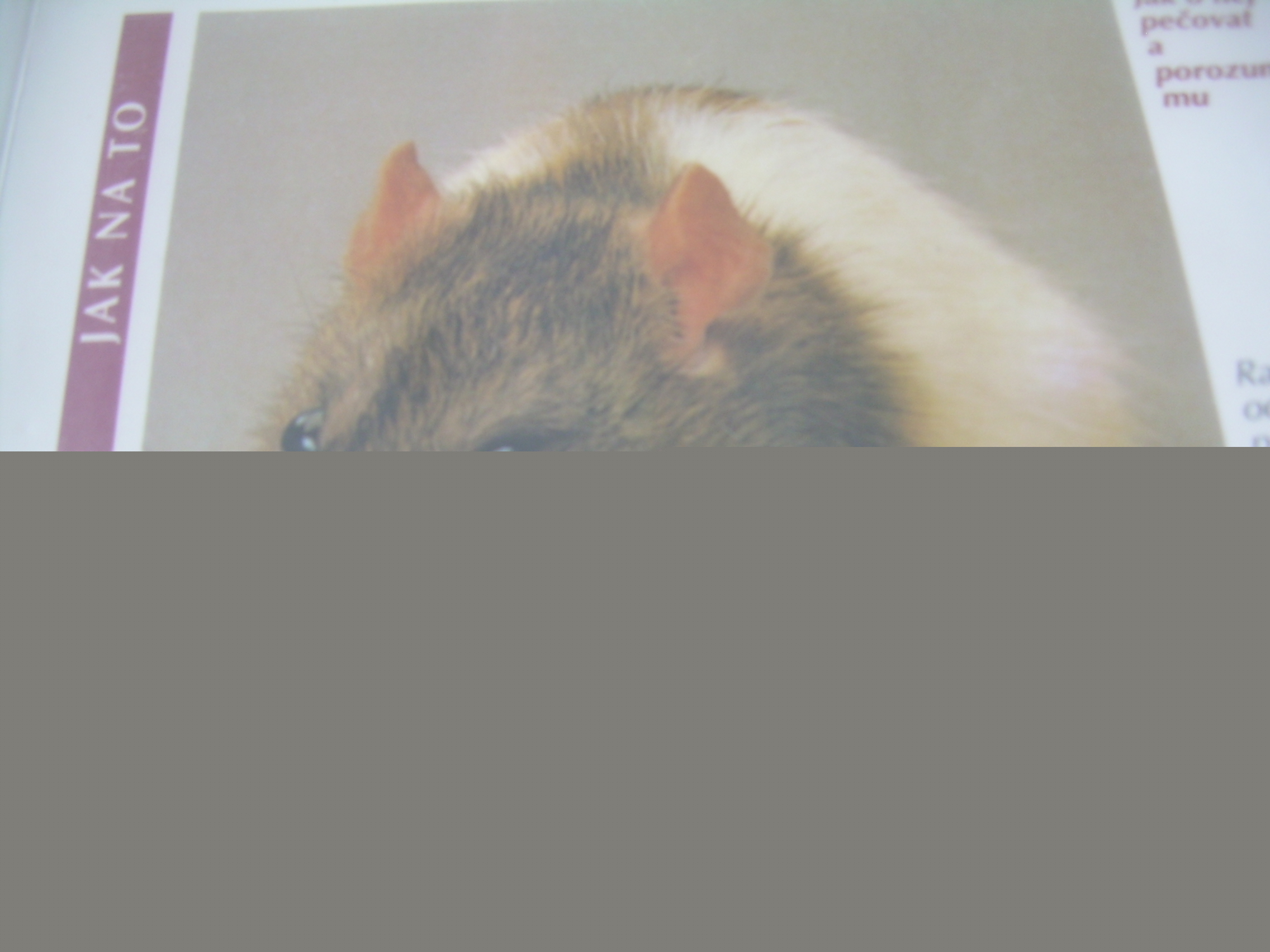 DSCN3359.JPG