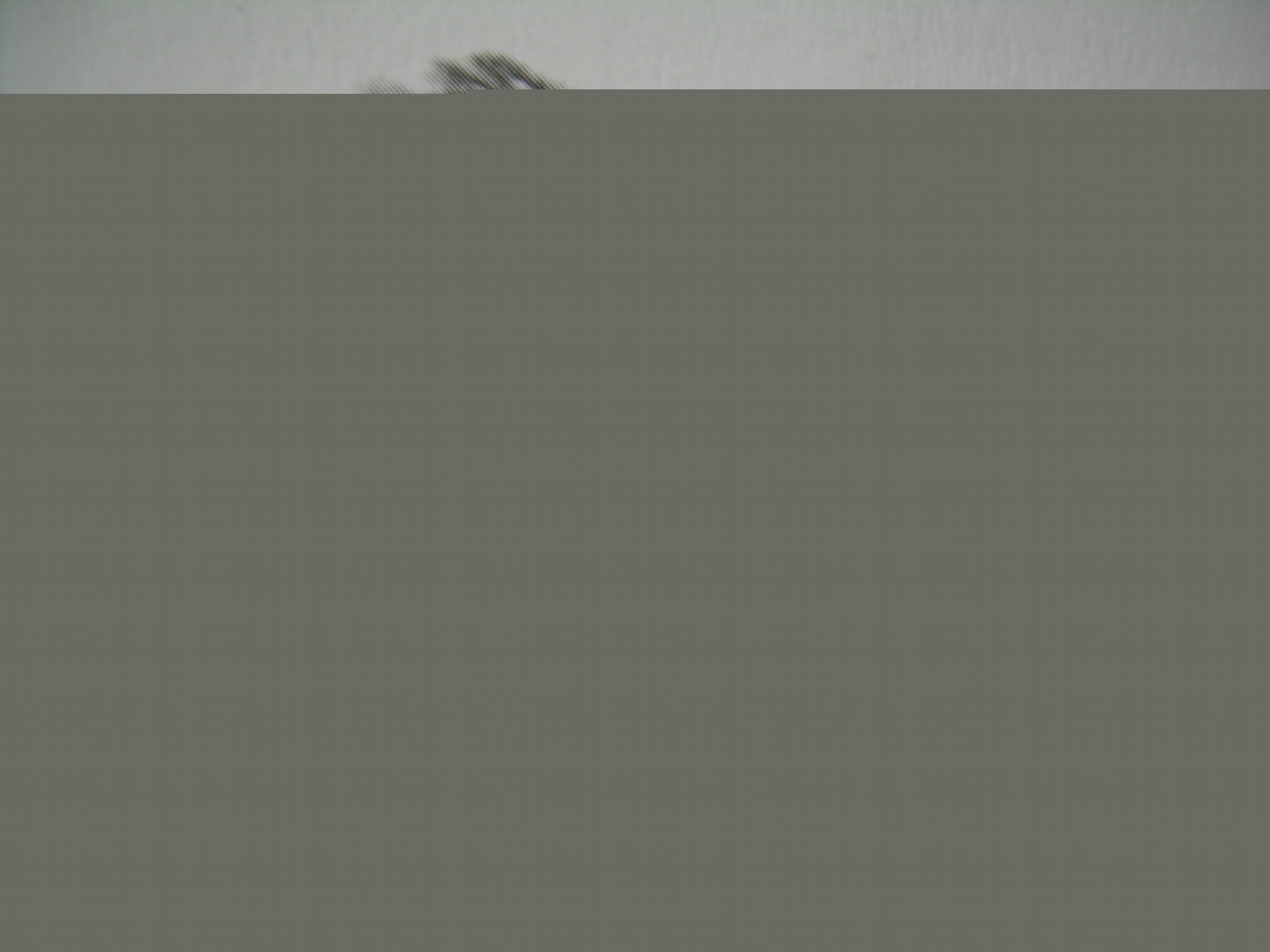 DSCN3380.JPG